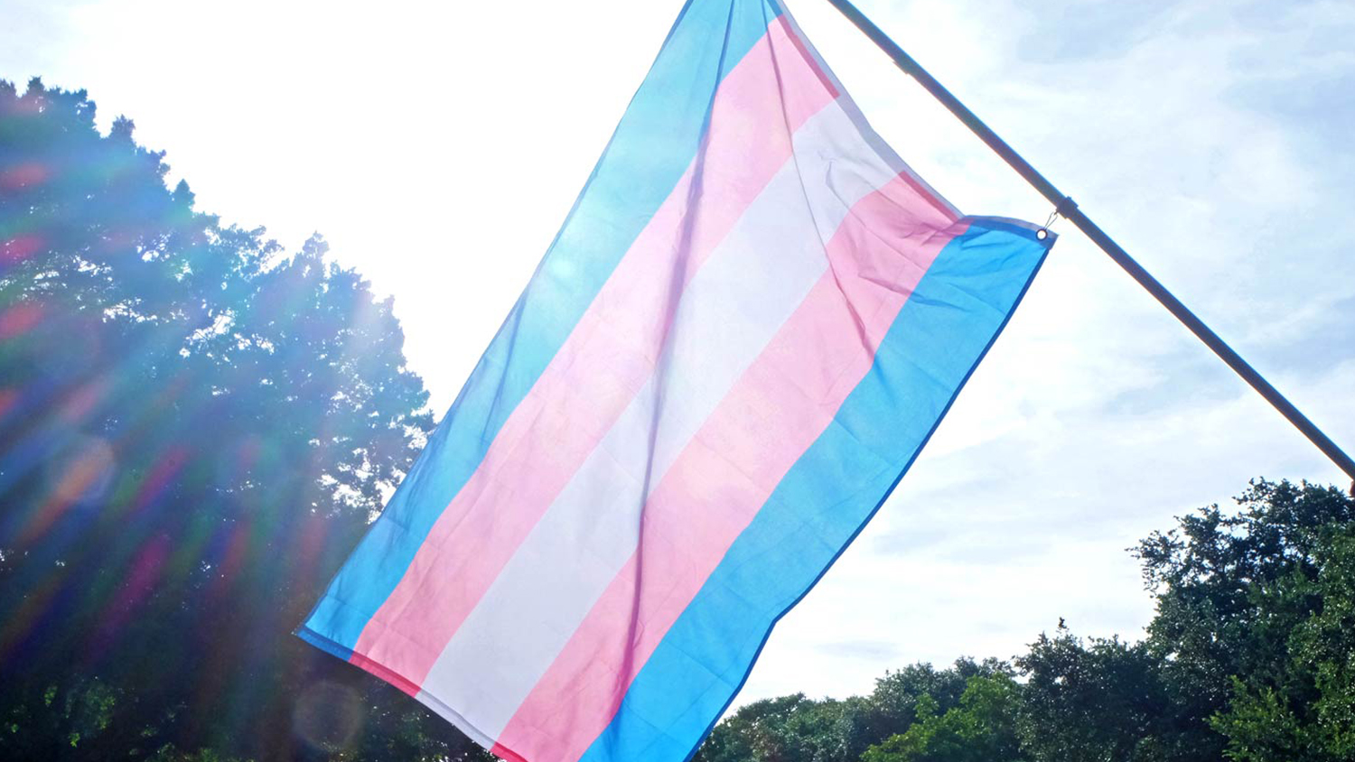 Trans flag waving on a sunny day