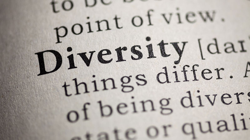 Diversity dictionary entry