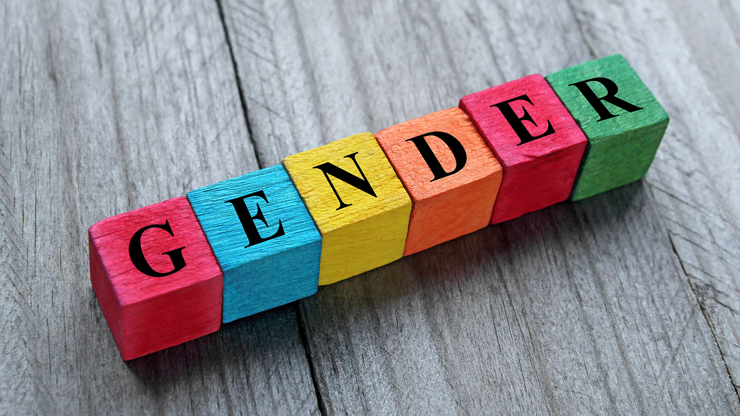 Brightly colored blocks spelling out the word "gender"